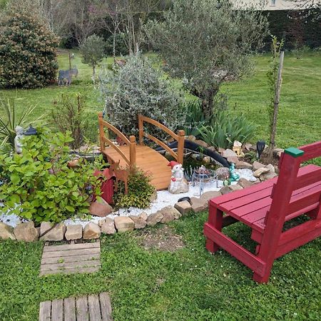 Chambre D'Hote Amitie Et Jardin Carmaux Eksteriør billede