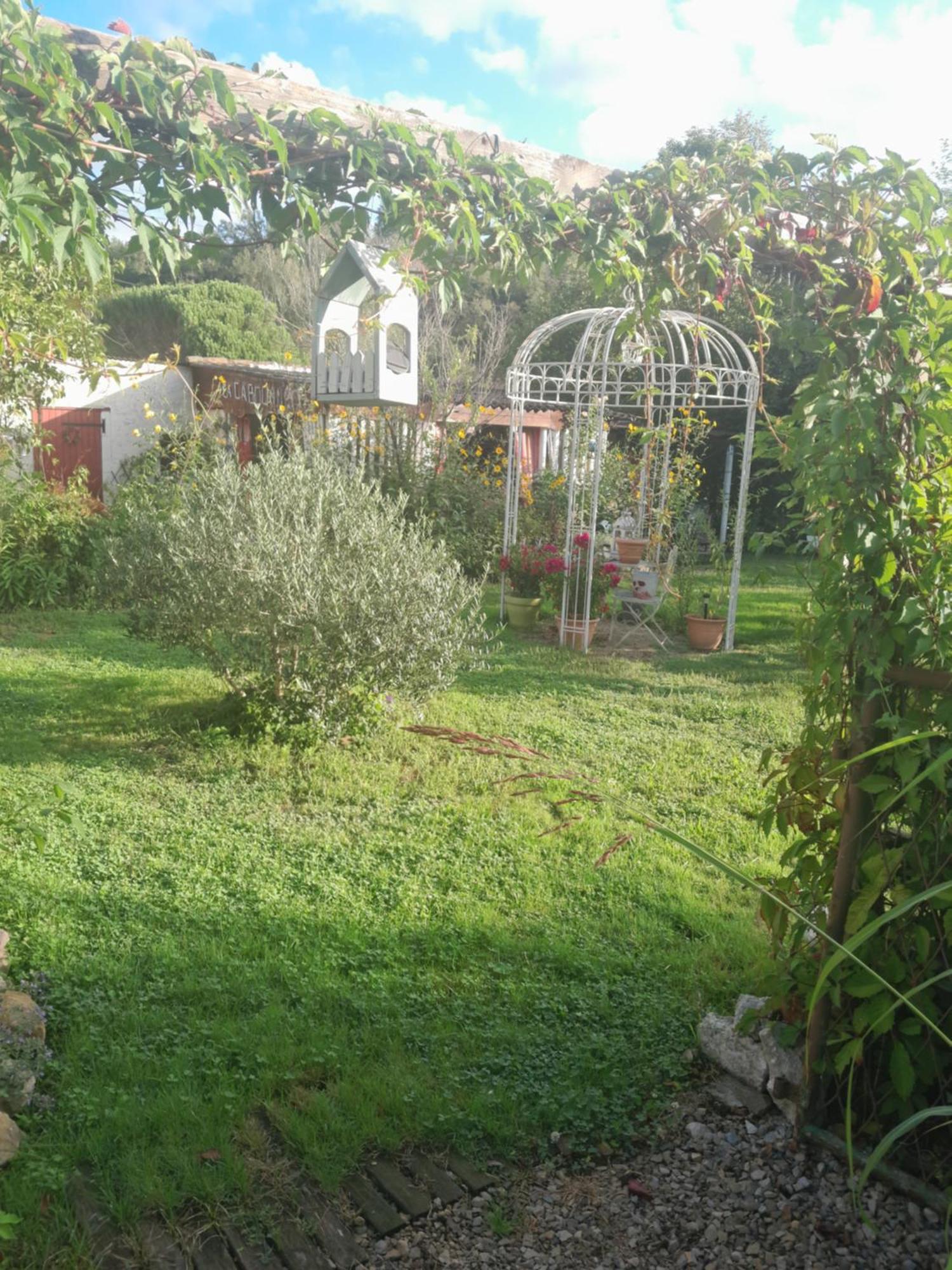 Chambre D'Hote Amitie Et Jardin Carmaux Eksteriør billede